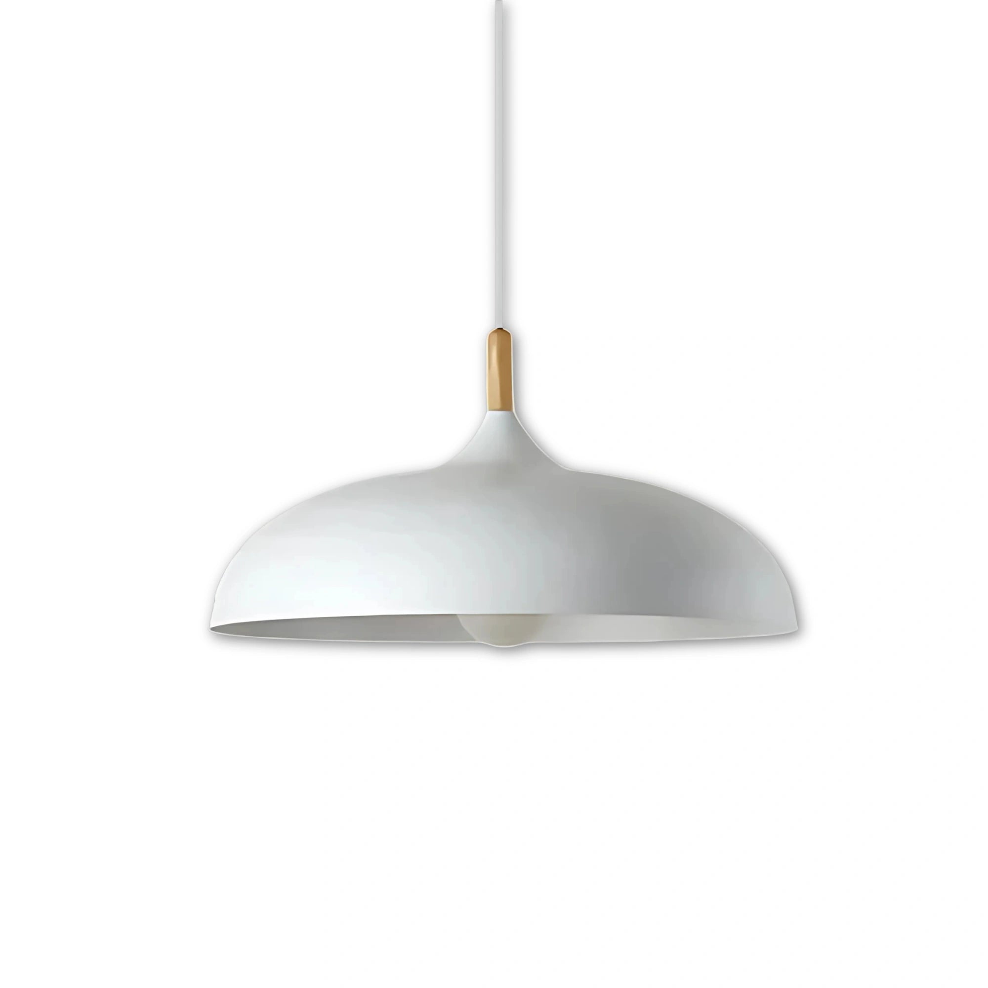 Skandinavisk | Moderne NordicLight Loftlampe | LED E27 | Eg og Jern | Justerbar Længde 100 cm | Varm Hvid | Kølig Hvid | AC110V-220V | Energivenlig Indendørs Belysning | Multifarvet | Elegant design | Høj Kvalitet