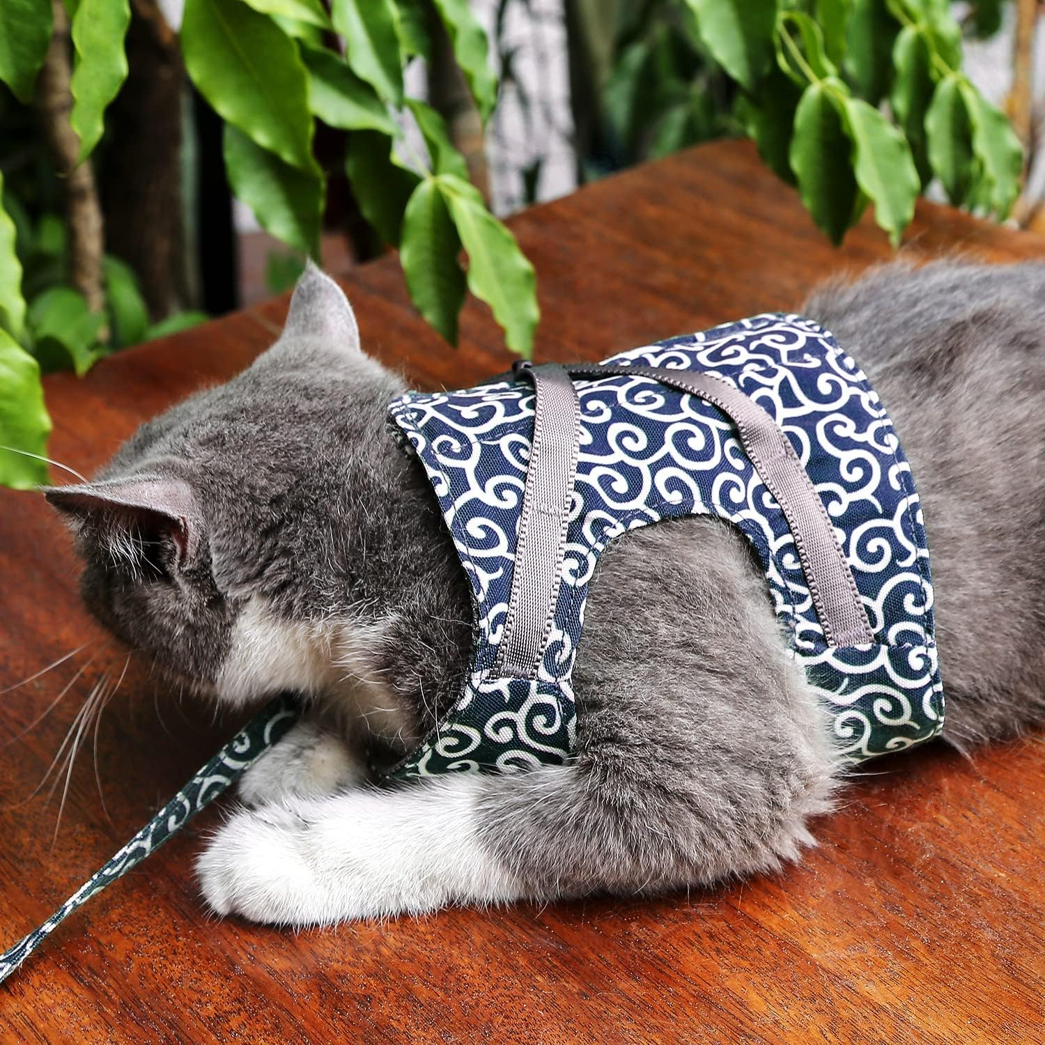 KittyComfort | Flugtsicheres