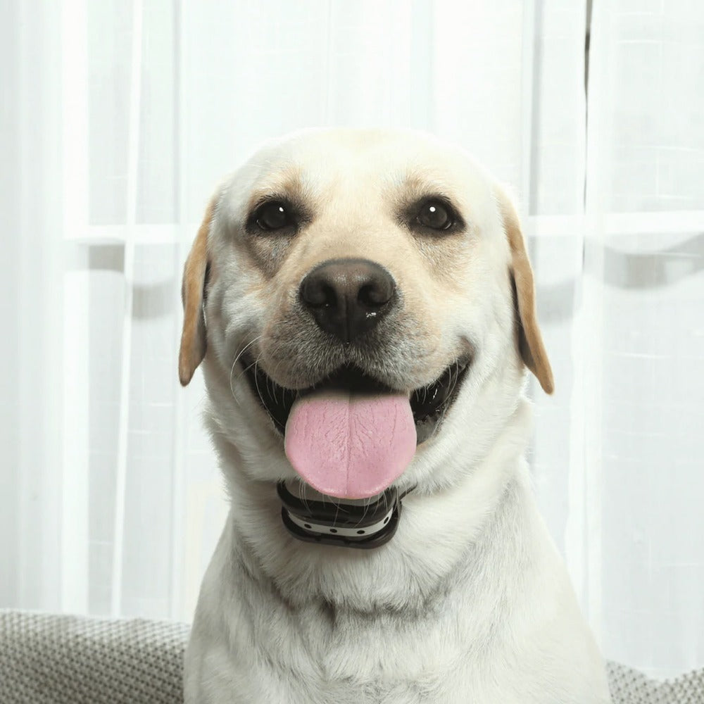 Trådløst Hundehegn med Træningshalsbånd | Dyrevenlig BIP & Vibration | Genopladelig & Vandtæt Design | Til Store Græsplæner & Udendørs Brug