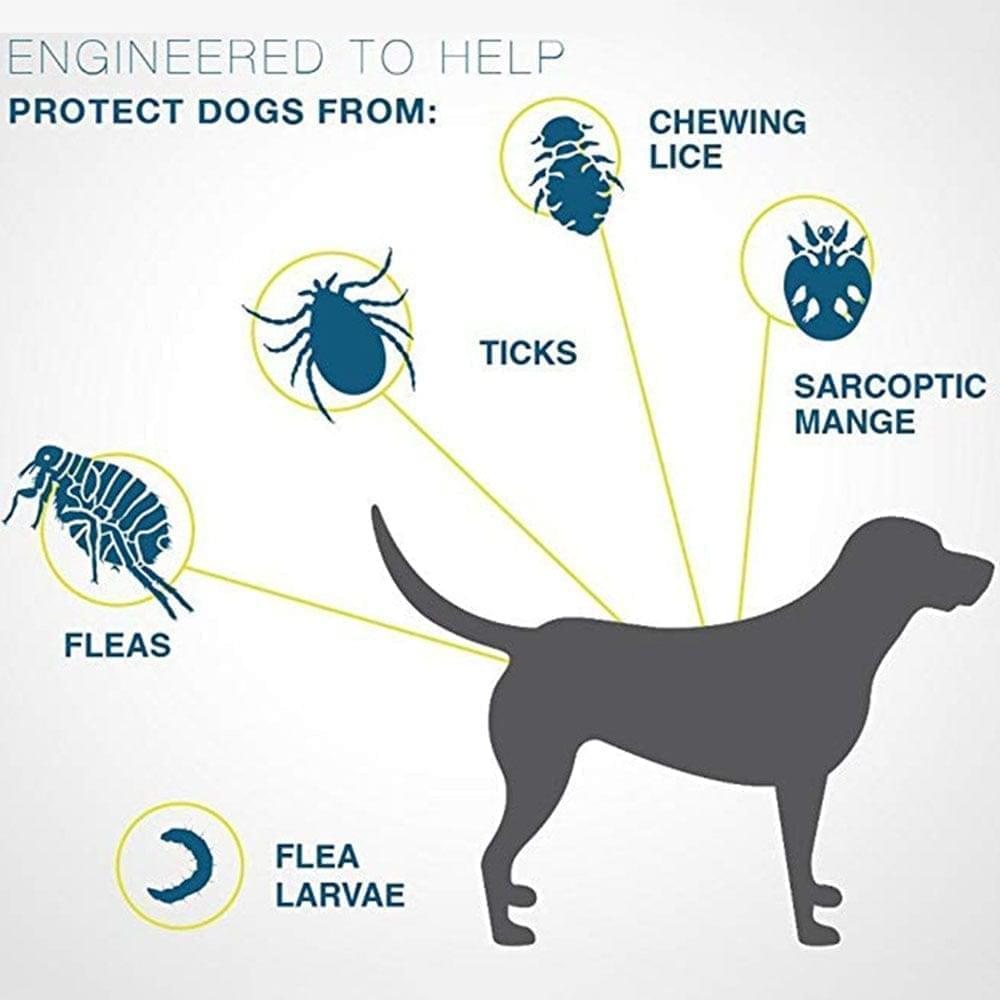 SafeGuard | Justerbart halsbånd til hunde og katte | 8 måneders loppe- og flåtbeskyttelse | Vandtæt og kemikaliefrit design