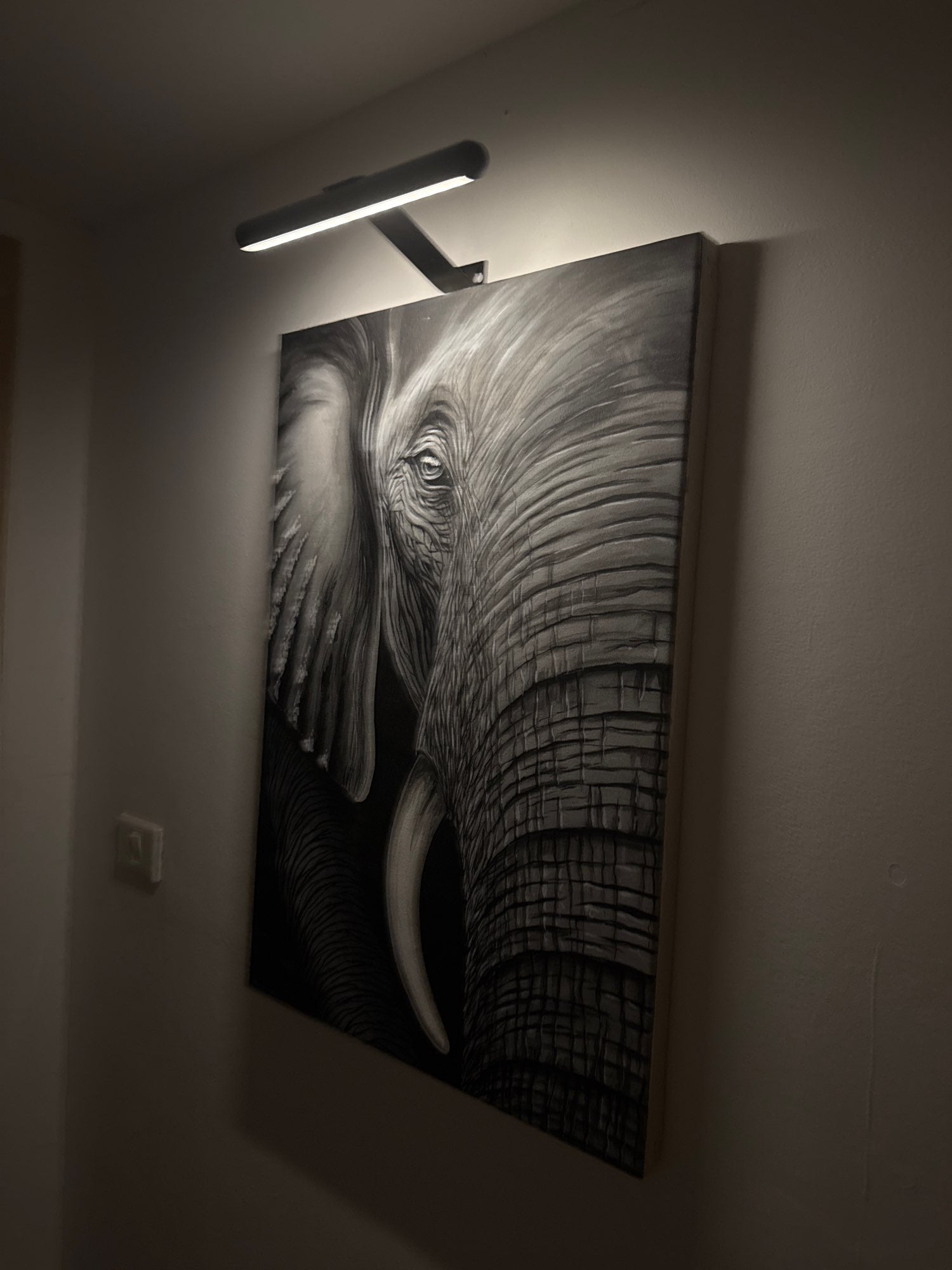 Wireless Art LED Light | Rechargeable Wall Lamp with Remote | Dimmable 360° Adjustable Lighting