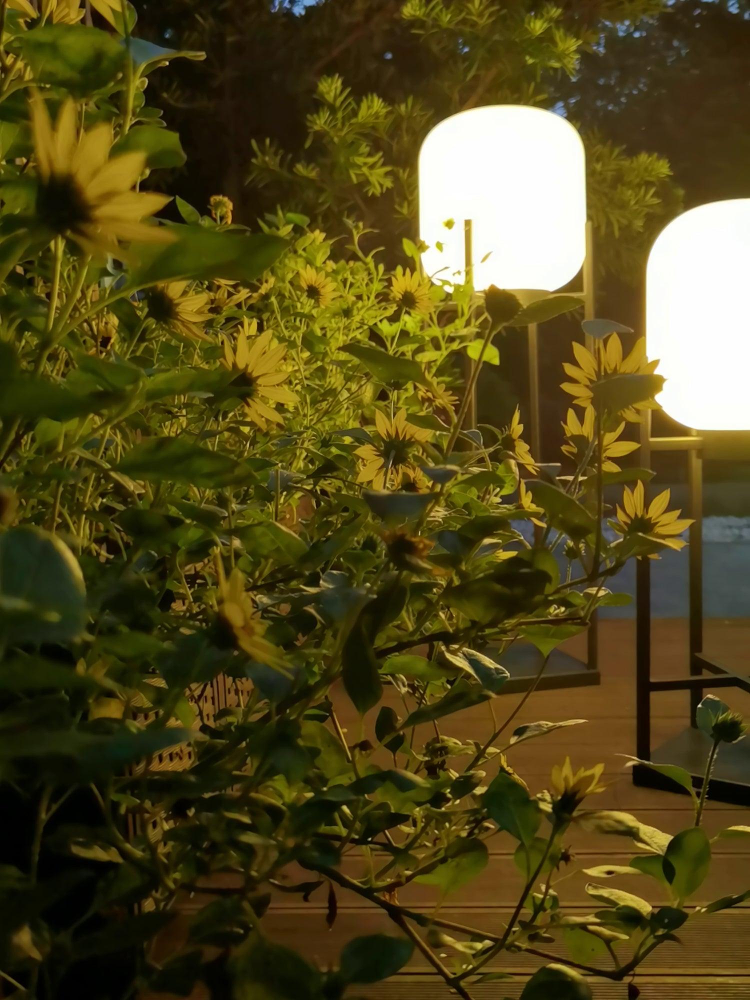 Udendørs solcelledreven standerlampe | Rustfrit stål og glas | IP65 vandtæt | Indbygget LED | Automatisk opladning og tænd/sluk | Perfekt til have, terrasse og stier | Elegant belysning til natten